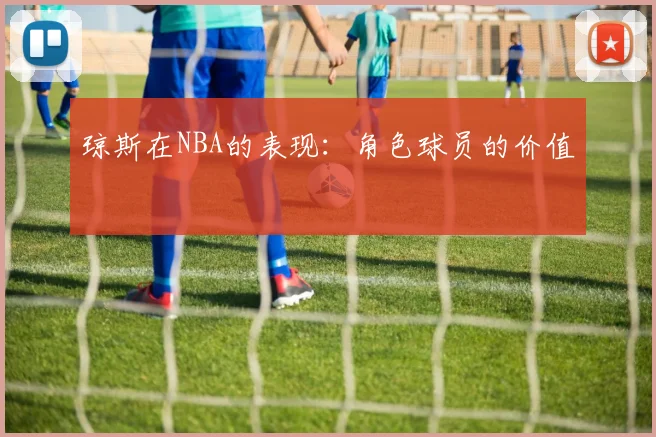 琼斯在NBA的表现：角色球员的价值