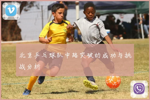 北京乒乓球队中路突破的成功与挑战分析