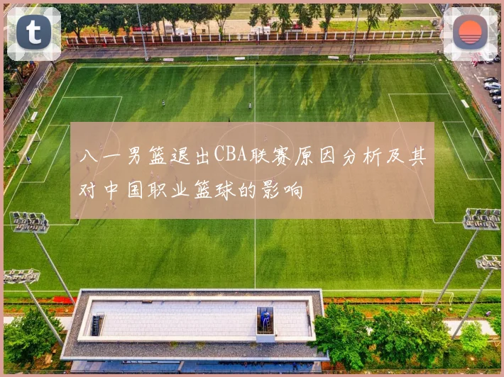 八一男篮退出CBA联赛原因分析及其对中国职业篮球的影响