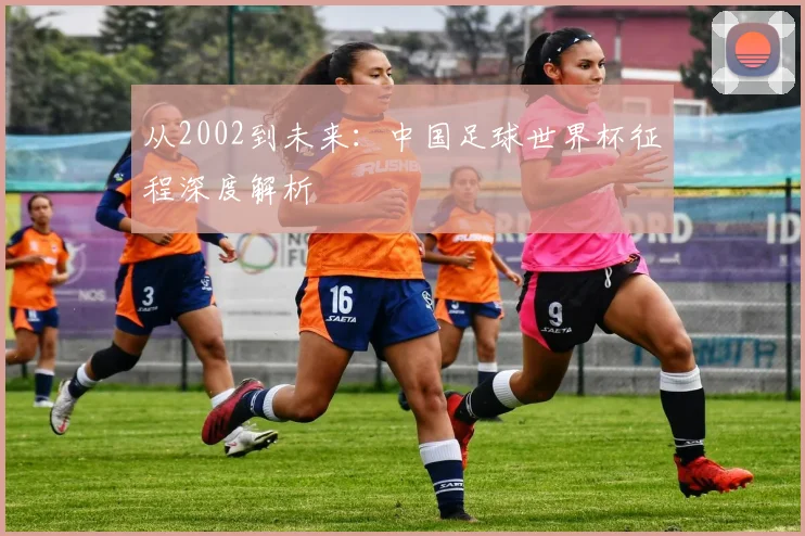 从2002到未来：中国足球世界杯征程深度解析