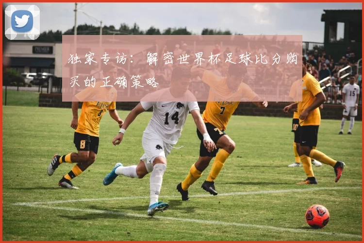 独家专访：解密世界杯足球比分购买的正确策略